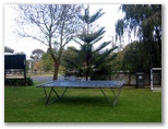 Hillview Caravan Park - Millicent: Trampoline to keep you fit