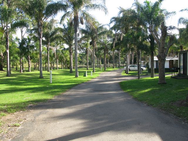 Milton Tourist Park - Milton: Gravel roads throughout the park