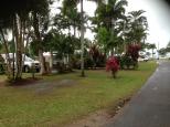 Beachcomber Coconut Caravan Village - Mission Beach South: Grassed powered sites