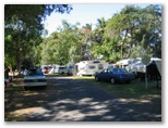 Mission Beach Camping Area & Caravan Park - Mission Beach: Powered sites for caravans