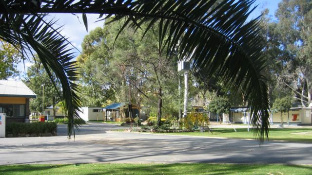 Cottonwood Holiday Park - Moama: Good paved roads throughout the park