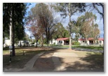 Shady River Holiday Park - Moama: Drive through powered sites for caravans