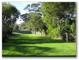 Mollymook Caravan Park - Mollymook: Area for tents and camping