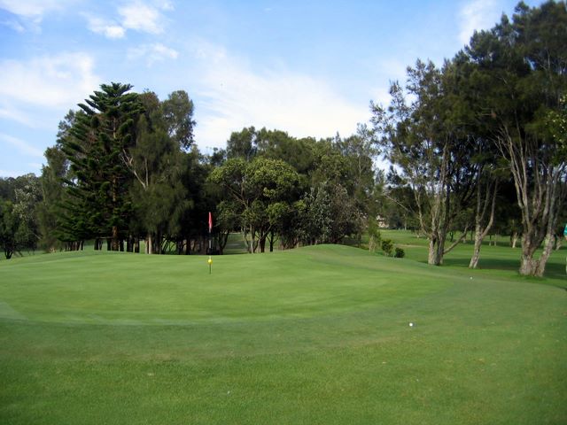 Mona Vale Golf Course - Mona Vale Sydney: Green on Hole 7