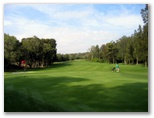Mona Vale Golf Course - Mona Vale Sydney: Green on Hole 9 looking back along fairway