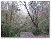 Monga National Park - Braidwood: View of the creek from the picnic table