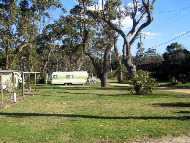 BIG4 Easts Dolphin Beach Holiday Park - Moruya Heads: Area for tents and campers