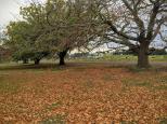 Toners Lane Rest Area - Morwell: The park looks quite nice in winter with all the leaves fallen from the trees.