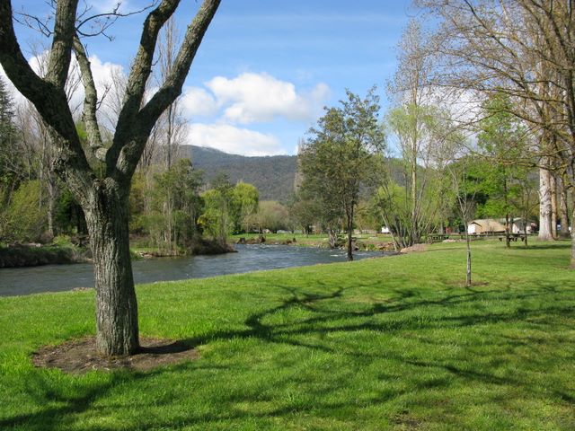 Mount Beauty Holiday Centre and Caravan Park - Mount Beauty: Delightful river beside the park