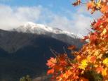 Mount Beauty Holiday Centre and Caravan Park - Mount Beauty: Mount Bogong first of the winter snow.