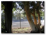 Big4 Blue Lake Holiday Park - Mount Gambier: Tennis Court