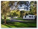 Big4 Blue Lake Holiday Park - Mount Gambier: Drive through powered sites for caravans