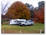 Mount Pleasant Caravan Park - Mount Pleasant: Shady powered sites for caravans