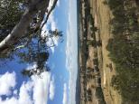 Mount Wombat Conservation Reserve - Euroa: Fantastic country