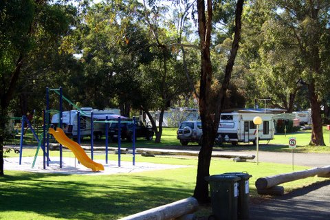 Mt Barker Caravan Park - Mt Barker: Shady powered sites for caravans and playground for children.