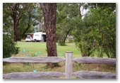 Mt Barker Caravan Park - Mt Barker: Shady powered sites for caravans 