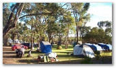 Mt Barker Caravan Park - Mt Barker: Camping ground