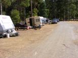 Land of the Giants Caravan Park - Mt Field National Park: Powered sites are limited - first come, first served