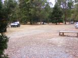 Land of the Giants Caravan Park - Mt Field National Park: Lots of unpowered camping areas