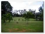 Tamborine Mountain Golf Course - Mt Tamborine: Approach to the Green on Hole 1 - note creek to the left