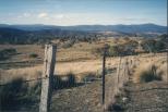 Mudgee Tourist & Van Resort - Mudgee: Follow the line of the fence near Mudgee NSW
