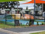 Mudgee Tourist & Van Resort - Mudgee: Swimming pool, jumping pillow, and playground.