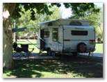 Mudgee Riverside Caravan & Tourist Park - Mudgee: Shady powered sites for caravans