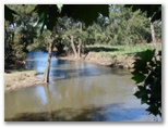 Mudgee Riverside Caravan & Tourist Park - Mudgee: Cudgegong River at rear of park.