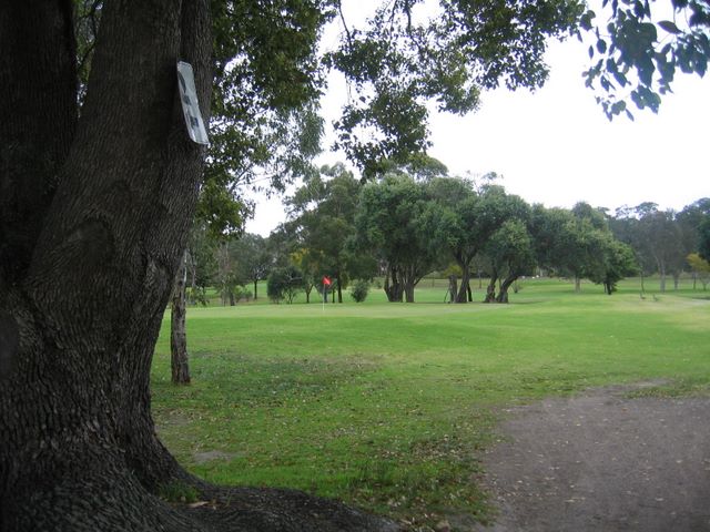 Muree Golf Club - Raymond Terrace: Green on Hole 1