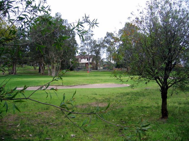 Muree Golf Club - Raymond Terrace: Green on Hole 3