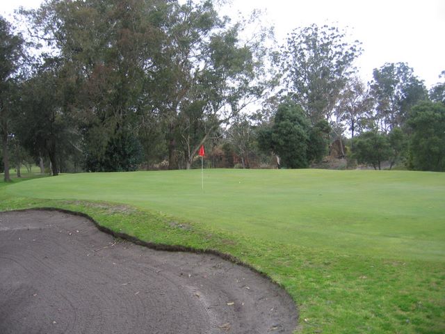 Muree Golf Club - Raymond Terrace: Green on Hole 4