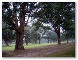 Muree Golf Club - Raymond Terrace: The course has many beautiful trees.