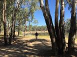 Forges Beach No 2 - Yarrawonga: Perfect place for a relaxing holiday