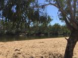 Forges Beach No 3 - Burramine: Lovely shady spots for camping
