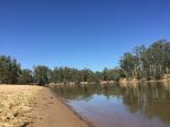 Forges Beach No 3 - Burramine: The still waters of the Murray. Be careful of hidden currents when swimming.