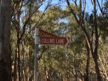 Nevins Beach East - Murray River Reserve: Follow Collins Lane.