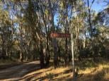 Nevins Beach East - Murray River Reserve: Follow Nevin East Bch sign