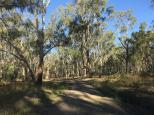 Nevins Beach East - Murray River Reserve: Road to the beach is well graded.