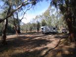 Passage Camp - Murray River Reserve: shady sites