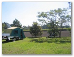 Greenhills Caravan Park - Murwillumbah: Area for tents and camping