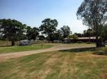 Muswellbrook Showground - Muswellbrook: The grounds are well maintained and there is plenty of room.