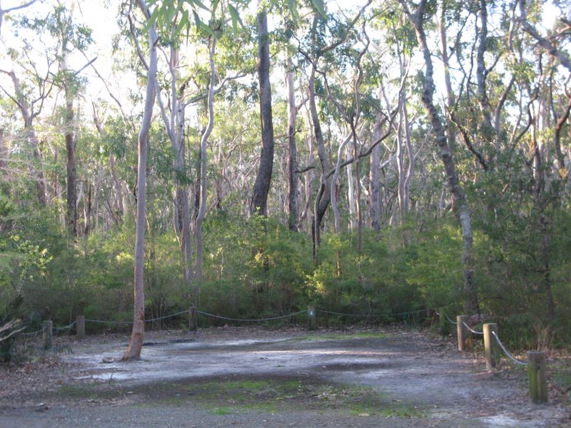 Little Lake (Neranie) Campground - Myall Lakes National Park: Camping area