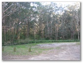 Little Lake (Neranie) Campground - Myall Lakes National Park: Camping area