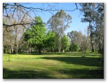 Arderns Caravan Park - Myrtleford: Area for tents and camping
