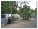 Nambour Rainforest Holiday Village - Nambour: Good paved roads throughout the park