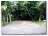 Nambour Rainforest Holiday Village - Nambour: Powered sites for caravan with rainforest backdrop