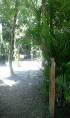 Nambour Rainforest Holiday Village - Nambour: Intriguing pathways designed to blend w nature
