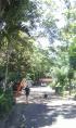 Nambour Rainforest Holiday Village - Nambour: A great place all round