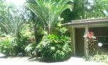 Nambour Rainforest Holiday Village - Nambour: Tranquil