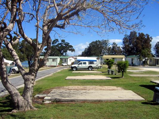 Foreshore Caravan Park - Nambucca Heads: Powered sites for caravans
